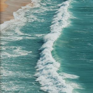 Meet your Posher, Jingyi